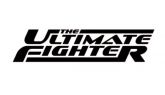 The Ultimate Fighter (18cmx4cm)