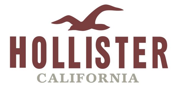 Hollister Logo (12cmx6cm)